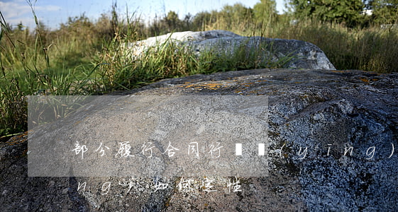 部分履行合同行為應(yīng)當(dāng)如何定性