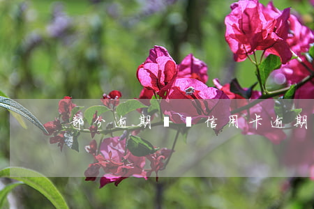 部分逾期歸還信用卡 逾期還款后注銷信用卡