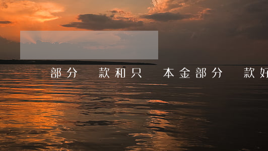 部分還款和只還本金(部分還款好不好)