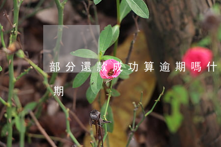 部分還款成功算逾期嗎(什么叫還款后不算逾期)