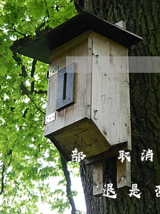 部門取消，企業(yè)調(diào)崗或勸退是否合理