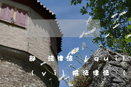 部門法律法規(guī)全院培訓教材(醫(yī)院法律法規(guī)培訓內(nèi)容.)
