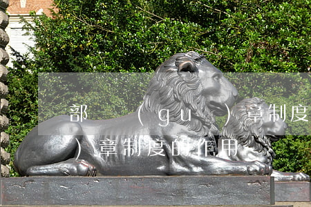 部門規(guī)章制度怎么寫（規(guī)章制度的作用）