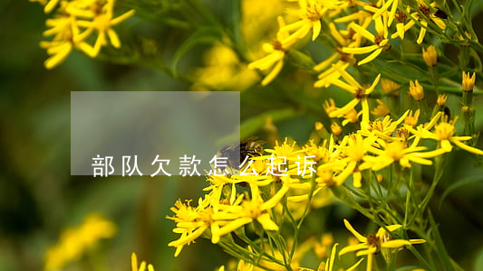 部队欠款怎么起诉