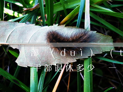 部隊(duì)團(tuán)級(jí)干部退休多少錢一個(gè)月(部隊(duì)團(tuán)職干部退休工資多少)