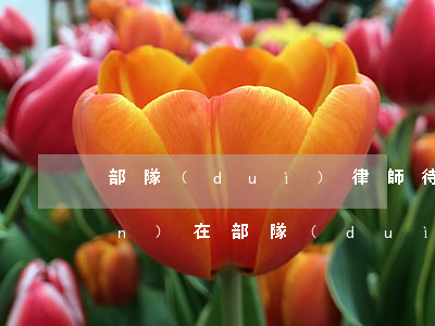 部隊(duì)律師待遇怎么樣(現(xiàn)在部隊(duì)待遇怎么樣)