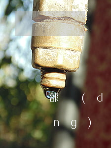 部隊(duì)留隊(duì)申請(qǐng)書(shū)