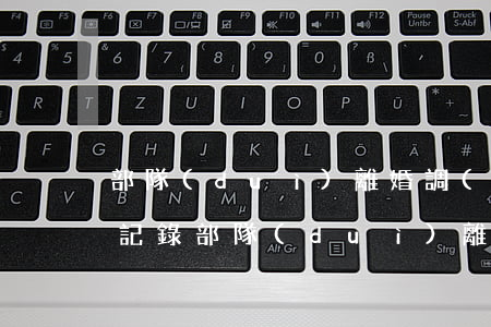 部隊(duì)離婚調(diào)解談話記錄(部隊(duì)離婚情況說(shuō)明書)