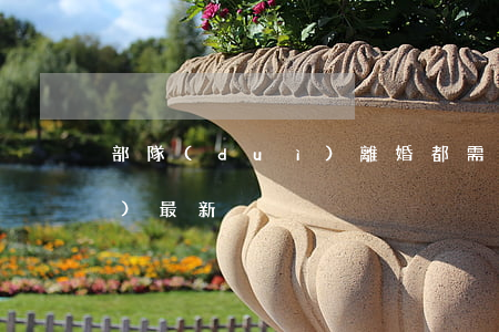 部隊(duì)離婚都需要什么手續(xù)最新