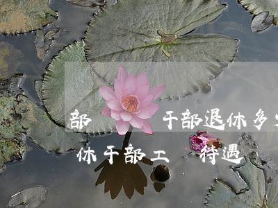 部隊團級干部退休多少錢一個月(部隊團級退休干部工資待遇)