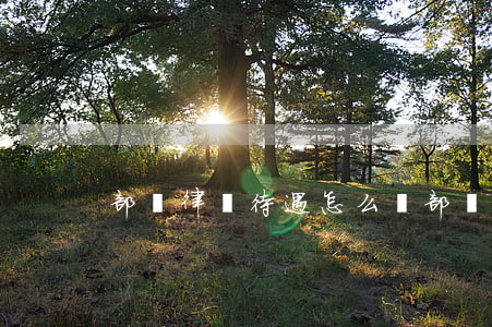部隊律師待遇怎么樣(部隊的法律律師)