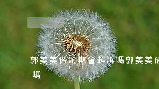 郭美美借逾期會起訴嗎 郭美美借逾期會起訴嗎