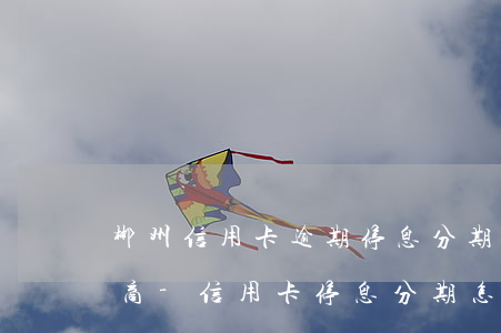 郴州信用卡逾期停息分期怎么協(xié)商-信用卡停息分期怎么申請(qǐng)