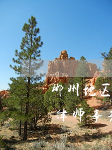 郴州地区专业离婚纠纷律师怎么找(湖南郴州律师事务所咨询电话)