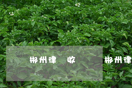 郴州律師收費標準(郴州律師事務所)
