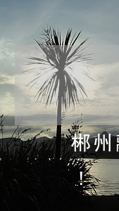郴州離婚后買房(在郴州買房真的要考慮清楚!)