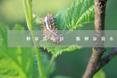 郵享貸停息掛賬(郵享貸未完結(jié))