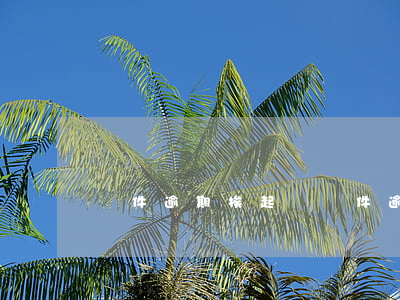 郵件逾期挨起訴（郵件逾期挨起訴）