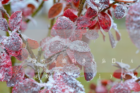 郵你花逾期多久后會(huì)被起訴 夠花逾期會(huì)被起訴嗎
