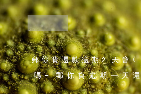 郵你貨還款逾期2天會(huì)嚗通訊錄嗎-郵你貸逾期一天還款之后會(huì)不會(huì)無(wú)法借款了