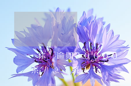 郵你貸逾期30000 郵你貸逾期幾天會聯系緊急聯系人