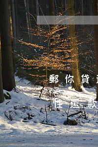 郵你貸還款日還算逾期嗎(郵你貸逾期叫一次性還款)