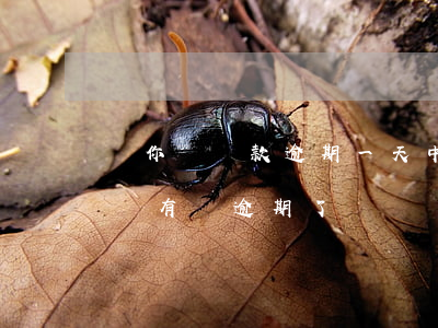 郵你貸還款逾期一天(中郵逾期一天,還款那里沒有寫逾期了)