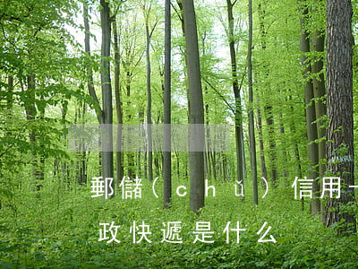 郵儲(chǔ)信用卡 逾期（信用卡逾期寄郵政快遞是什么）