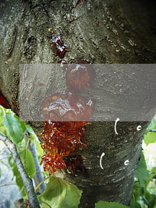 郵儲(chǔ)信用卡遲還三天算逾期嗎 郵儲(chǔ)信用卡遲還三天算逾期嗎怎么辦