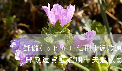 郵儲(chǔ)信用卡還款逾期一天怎么辦 郵政還貸款逾期一天怎么辦