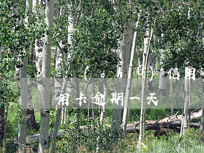 郵儲(chǔ)信用卡金卡逾期三天(郵政信用卡逾期一天)