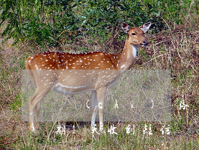 郵儲(chǔ)過路費(fèi)信用卡逾期1天(收到短信說郵政信用卡逾期)