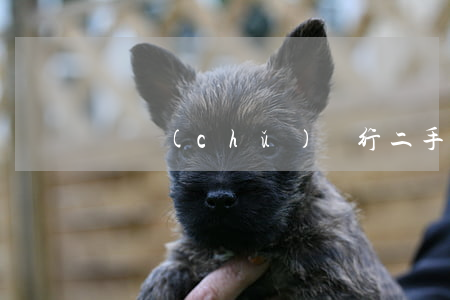 郵儲(chǔ)銀行二手房貸款