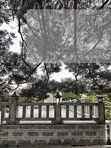郵儲(chǔ)銀行信用卡5000逾期一年-郵儲(chǔ)銀行信用卡5000逾期一年利息多少