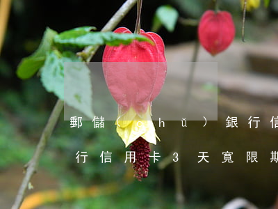 郵儲(chǔ)銀行信用卡逾期3天(郵政銀行信用卡3天寬限期)