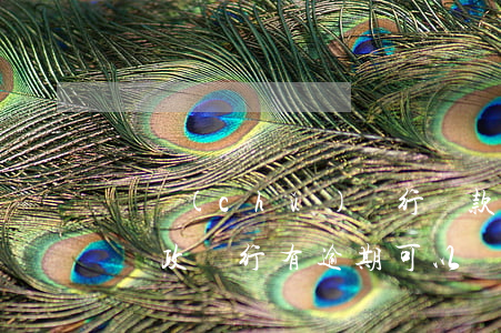 郵儲(chǔ)銀行貸款逾期后續(xù)(郵政銀行有逾期可以貸款嗎)