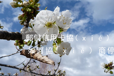郵儲信用卡協(xié)商掛賬停息(信用卡如何協(xié)商停息掛賬)