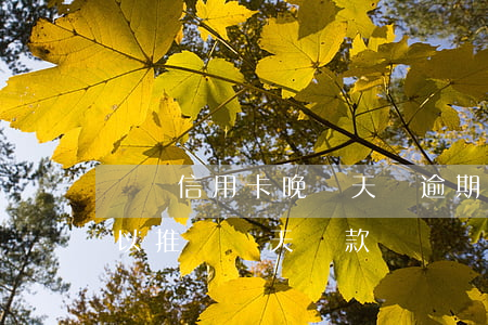 郵儲信用卡晚兩天還逾期嗎(郵政的信用卡可以推遲幾天還款)