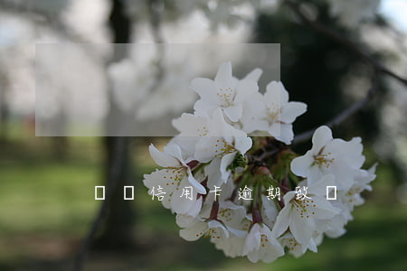 郵儲信用卡逾期致電