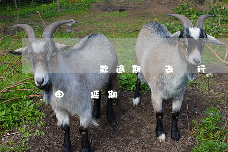 郵儲貸款逾期讓去銀行(郵儲銀行的貸款可以申請延期嗎)