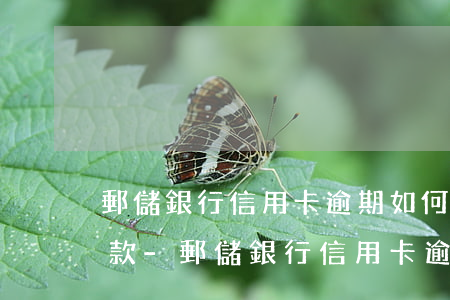 郵儲銀行信用卡逾期如何協(xié)商還款-郵儲銀行信用卡逾期如何協(xié)商還款的