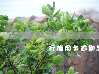 郵儲銀行信用卡逾期怎么停止劃扣