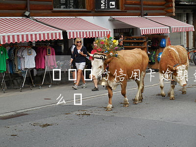 郵儲銀行信用卡逾期查詢(郵政信用卡逾期怎么辦)