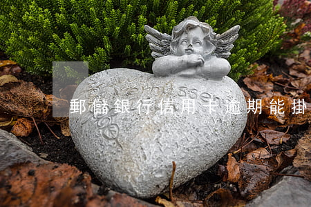 郵儲銀行信用卡逾期能掛賬分期嗎