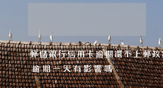 郵儲銀行信用卡逾期還不上(郵政銀行卡還款逾期一天有影響嗎)