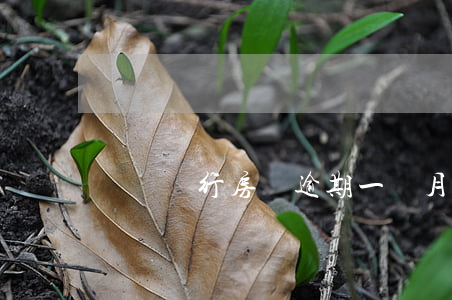 郵儲銀行房貸逾期一個月(郵政房貸逾期一天)