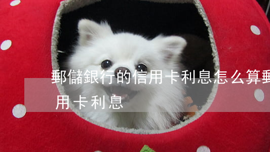 郵儲銀行的信用卡利息怎么算（郵儲銀行的信用卡利息）