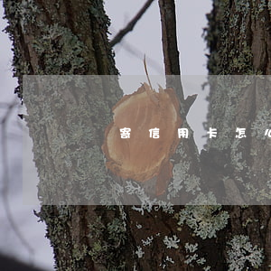 郵寄信用卡怎么拿(郵寄信用卡怎么拿錢)