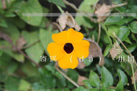 郵寄送達(dá)適用留置送達(dá)
