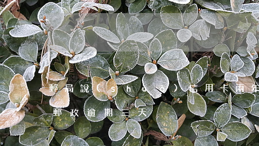 郵局說(shuō)信用卡兩年了別逾期了(郵政逾期三天)